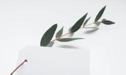 Featured image of post Image Gallery